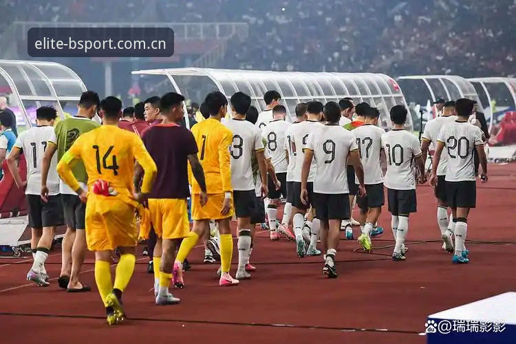 世界杯扩军66队对中国男足的实用机遇分析——BSport体育平台视角下的赛事变革